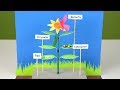 Easy school project | How to make a model on Life Cycle of Butterfly ( Tutorial)