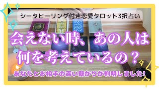 【隠されし本音✨ここにありました】会えない時、あの人は何を考えているの？🔮バランガン柏木🔮恋愛タロット3択占い：シータヒーリング付き