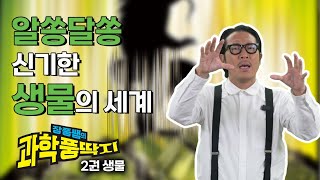 이게 동물이야 식물이야? 알쏭달쏭 신기한 생물의 세계 ㅣ 장풍쌤의 과학 풍딱지 ②권