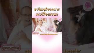 อานิสงส์ของการให้ธรรมะเป็นทาน