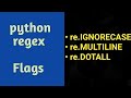 Python Regex Hands-on | commonly used Flags