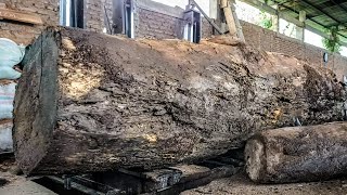 Turning 100 Year Old Logs into Luxury Wood ‼️ Sawmill in Action