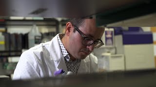 The Postdoc: A key phase in the life of a researcher and a university