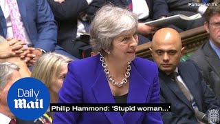 Philip Hammond mutters 'stupid woman' to Andrea Jenkyns at PMQs