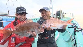 【釣り百景】#134 春の新潟を桜が彩る　プレのっこみマダイを狙う！