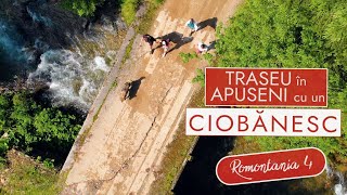 Traseu în Apuseni cu un ciobănesc - ROMONTANIA #4