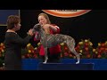 national dog show 2022 hound group full judging nbc sports