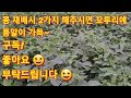 메주콩 서리태콩 다수확을 위한 8월 ~ 9월초 2가지만 해주시면 꼬투리에 콩알이 꽉차게 키우는 꿀팁 농사의신