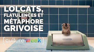 Culture Week #112 - lolcats, flatulences et métaphore grivoise