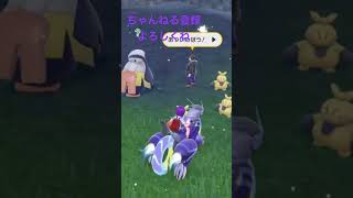 色違いマクノシタ、うろうろしてたら出た！ #ポケモンsv #色違い #ポケモン #shorts