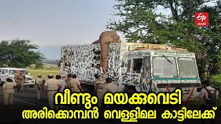 അരിക്കൊമ്പനെ മയക്കുവെടി വച്ച് പിടികൂടി തമിഴ്‌നാട് വനംവകുപ്പ്; വെള്ളിമല വനത്തിലേക്ക് മാറ്റാന്‍ നീക്കം