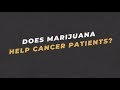 Ask an Expert: Dr. Jasmin Zavala on Whether Marijuana Helps Cancer Patients | You Can