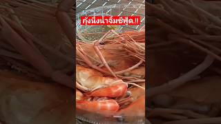 กุ้งแม่น้ำนึ่งกินกับน้ำจิ้มซีฟู้ด.!!อร่อยขายดี#กุ้ง #ของกิน #อาหาร #อร่อย @Beardi