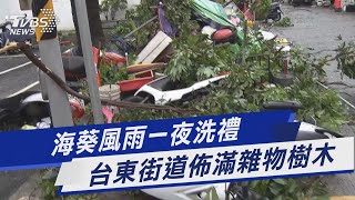 海葵風雨一夜洗禮 台東街道佈滿雜物樹木｜TVBS新聞 @TVBSNEWS01