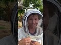 how to catch a swarm of bees