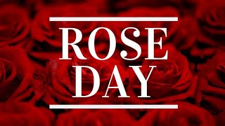 Rose Day Status|rose day whatsapp status 2022|happy rose day video status|