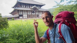 What surprised me most in Japan? - Hitchhiking \u0026 camping journey