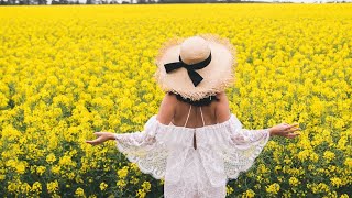 Exploring the Canola Fields of Saskatchewan: A Visual Journey