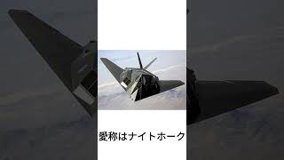 軍用機には愛称があります。#ゆっくり解説 #アメリカ空軍 #ラプター #ギャラクシー #ゆっくり軍事 #解説動画 #f22 #f35 #sr71 #f117 #大日本帝国海軍