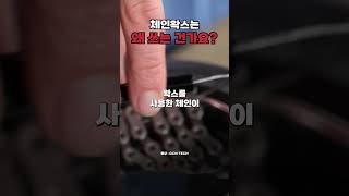 체인왁스는 정말 좋을까요?