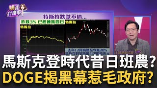 特斯拉被害慘?!最強股跌入熊市..馬斯克遭市場圍毆?!挑釁川普?馬斯克\