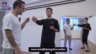 WING CHUN Online LESSONS  -  (snippets)