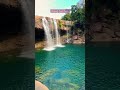 Discover the Untamed Majesty of Krang Suri Falls❤️❤️❤️ #ytshorts #meghalayatourismindia #khasihills