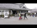 葵2013 03 29_グレード家康公葵武将隊②