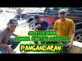 HOBI PERKUTUT PANGANDARAN