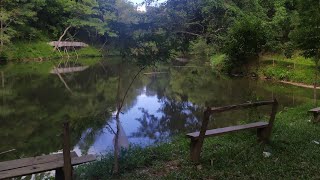 Rêngdĭl(lake) Mizoram khawthlang lam a dil hmingthang tak mai leh a hmun hma nuam em em.