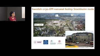 Swedish national cryo-EM facility (Marta Carroni)