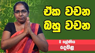 දෙමළ - ඒක වචන බහු වචන | 8 ශ්‍රේණිය - Tamil | Grade 8 Epi 04