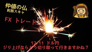 12/11『仲値の仏』9:00~10:00 ドル円 『ロンほと』