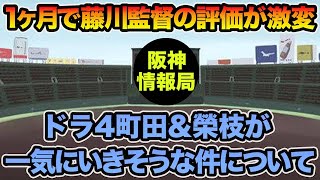 【1ヶ月で藤川監督の評価激変】ドラ4町田&榮枝が一気にいきそうな件について!! 超最新の捕手序列問題を徹底考察【阪神タイガース】