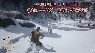 NADİR BEYAZ ARAP ATI [4K] (OYUNUN EN İYİ ATINI YAKALAMANIN PÜF NOKTALARI)/Red Dead Redemption 2