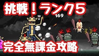 ぼくとネコ  挑戦！ランク５  完全無課金攻略！