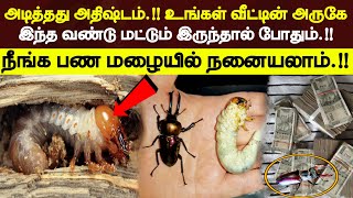 அடித்தது அதிஷ்டம்.!!இந்த ஒரு வண்டு மட்டும் இருந்தால் நீங்கள் பண மழையில் நனையலாம்.!!