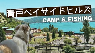 【犬連れ釣りキャンプ⛺🎣️】大型犬🐶ボルゾイとゆく青戸ベイサイドヒルズ