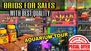 Best Quality Bird's Sale in Chennai | Pet Shop Review in Tamil | Pets Accessories - Pets Food