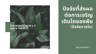 ปัจจัยที่ส่งผลต่อการเจริญเติบโตของพืช(ปัจจัยภายใน) (วิทยาศาสตร์ชีวภาพ ม.4)