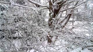 Hilversum onder een dikke laag sneeuw.