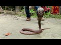 BD Snake Master Razzak Biswash naja naja kautia Documentary Videos New Episode-04|05|2018 | HD