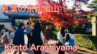 紅葉の季節　京都嵐山🍁 Autumn leaves season in Arashiyama, Kyoto 2022年11月9日