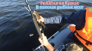 Рыбалка на Вуоксе 2024. В поисках рыбных мест ✌️/ Fishing on Vuoksa 2024✌️ #shorts #fishing #рыбалка