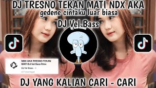 DJ GEDENE CINTAKU LUAR BIASA NDX AKA🎵DJ TRESNO TEKANE MATI VIRAL TIKTOK TERBARU 2025-DJ VEL BASS