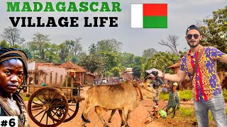 How is Village life in Madagascar 🇲🇬 | गाँव का जीवन ‘अफ़्रीका’