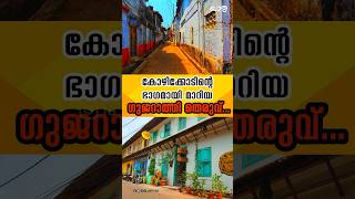 നൂറ്റാണ്ടുകൾ പഴക്കമുള്ള ഗുജറാത്തി തെരുവ്... | Gujarati Street | Yathraa #youtubeshorts #yathra