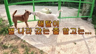 해탈이 별 나라 갔는 줄 알고는.....