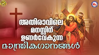 അതിരാവിലെ മനസ്സിന് ഉണർവേക്കുന്ന മാന്ത്രിഗാനങ്ങൾ|കുരിശിൻ്റെ വഴി|#jesussongs #christiansongs #jesus