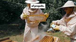The Buzz about Propolis: Nature's Secret Weapon for Weight Loss